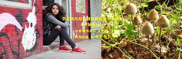 ПСИЛОЦИБИНОВЫЕ ГРИБЫ Наволоки