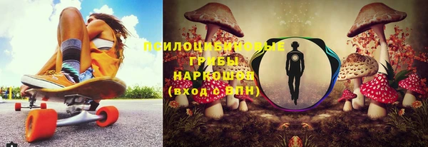 ПСИЛОЦИБИНОВЫЕ ГРИБЫ Наволоки
