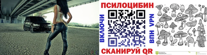 Купить где  Ленинск-Кузнецкий  Галлюциногенные грибы Psilocybine cubensis 